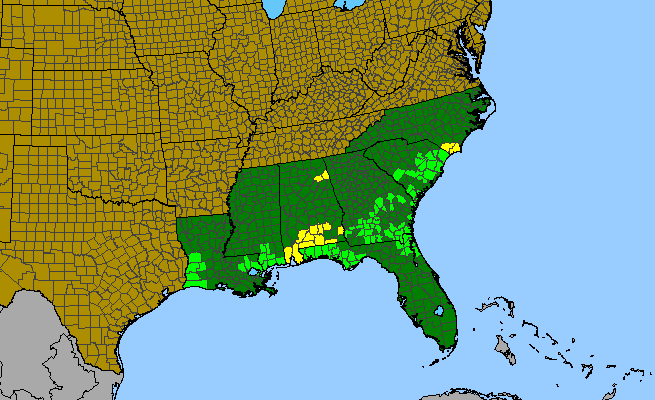 The range of Helenium vernale